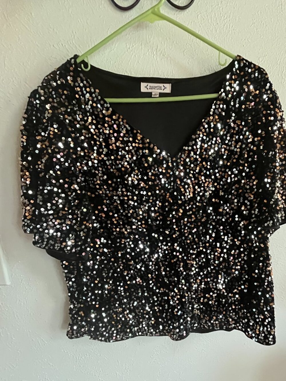 Dressy Blouse Sparkles and Shines